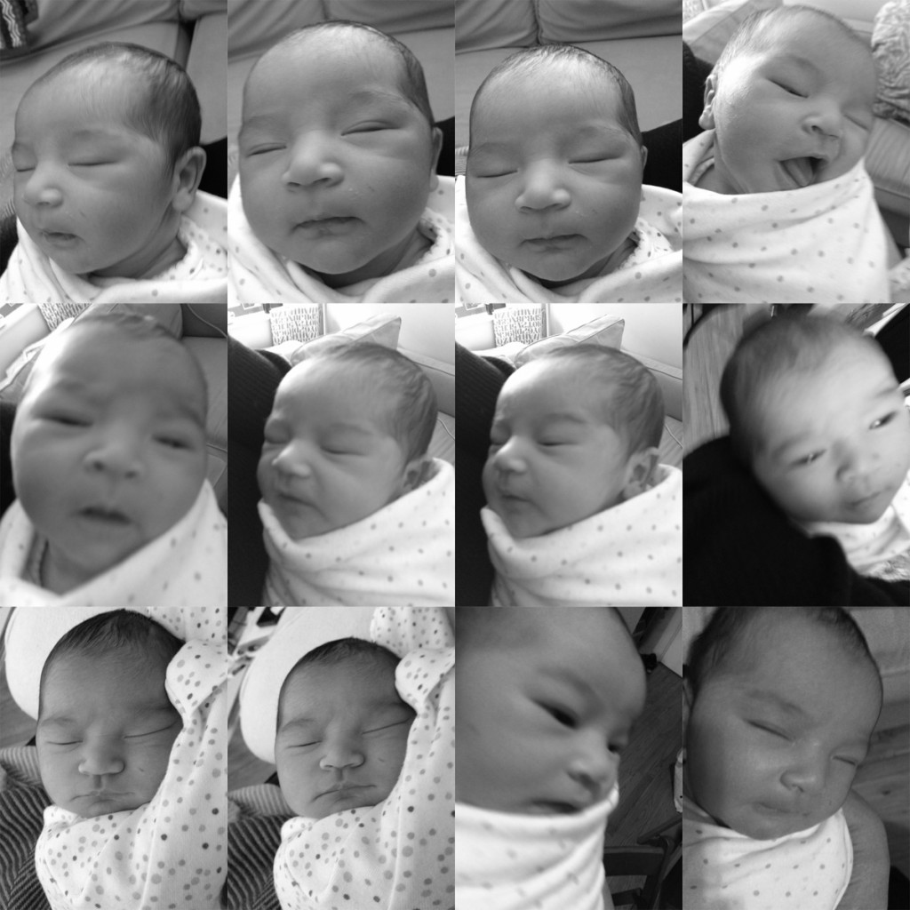 The many faces of Momo