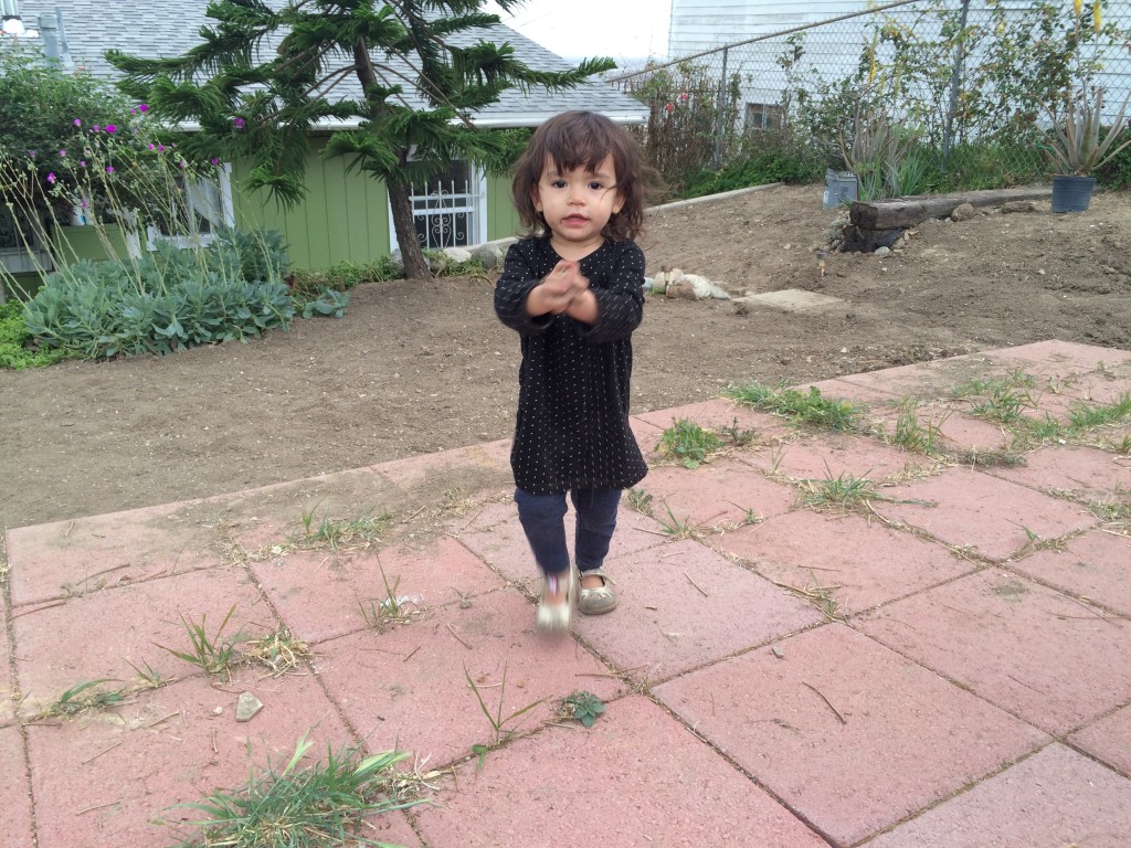 back-in-la_16244526103_o