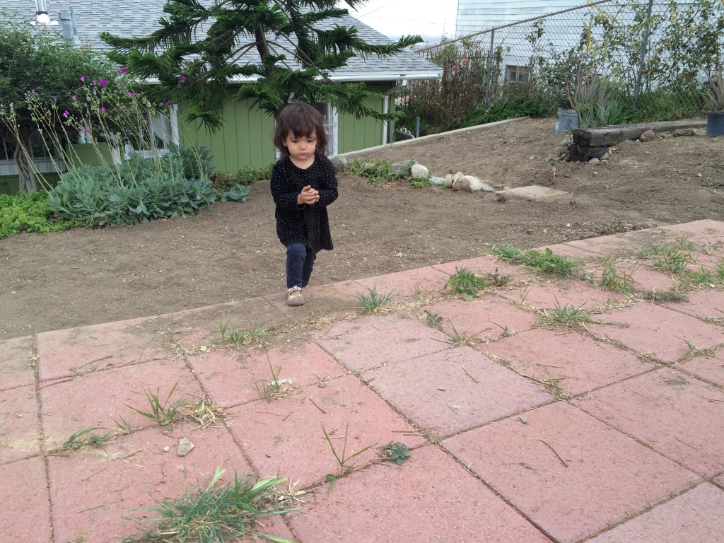 back-in-la_16657198997_o