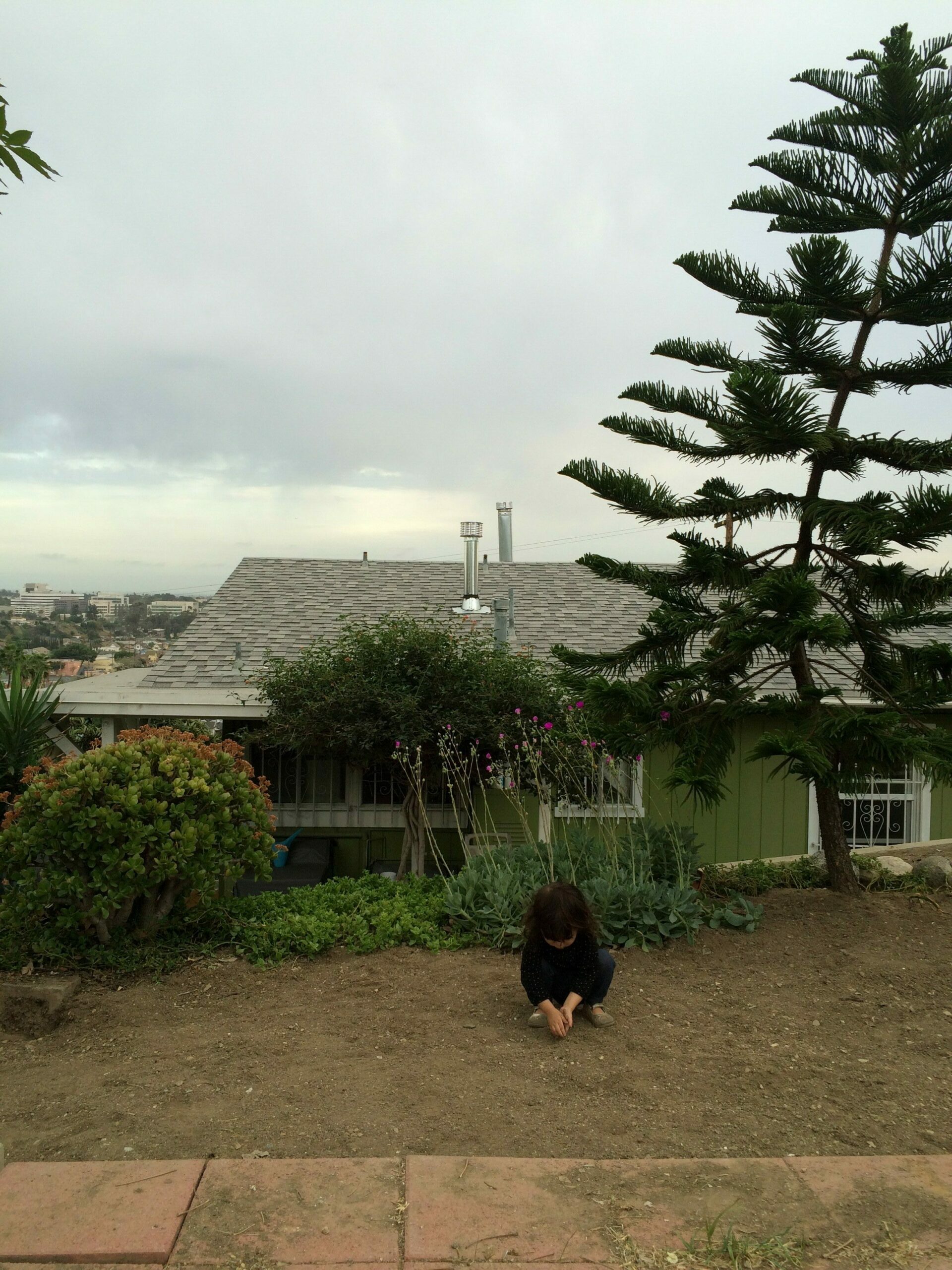 back-in-la_16678367979_o