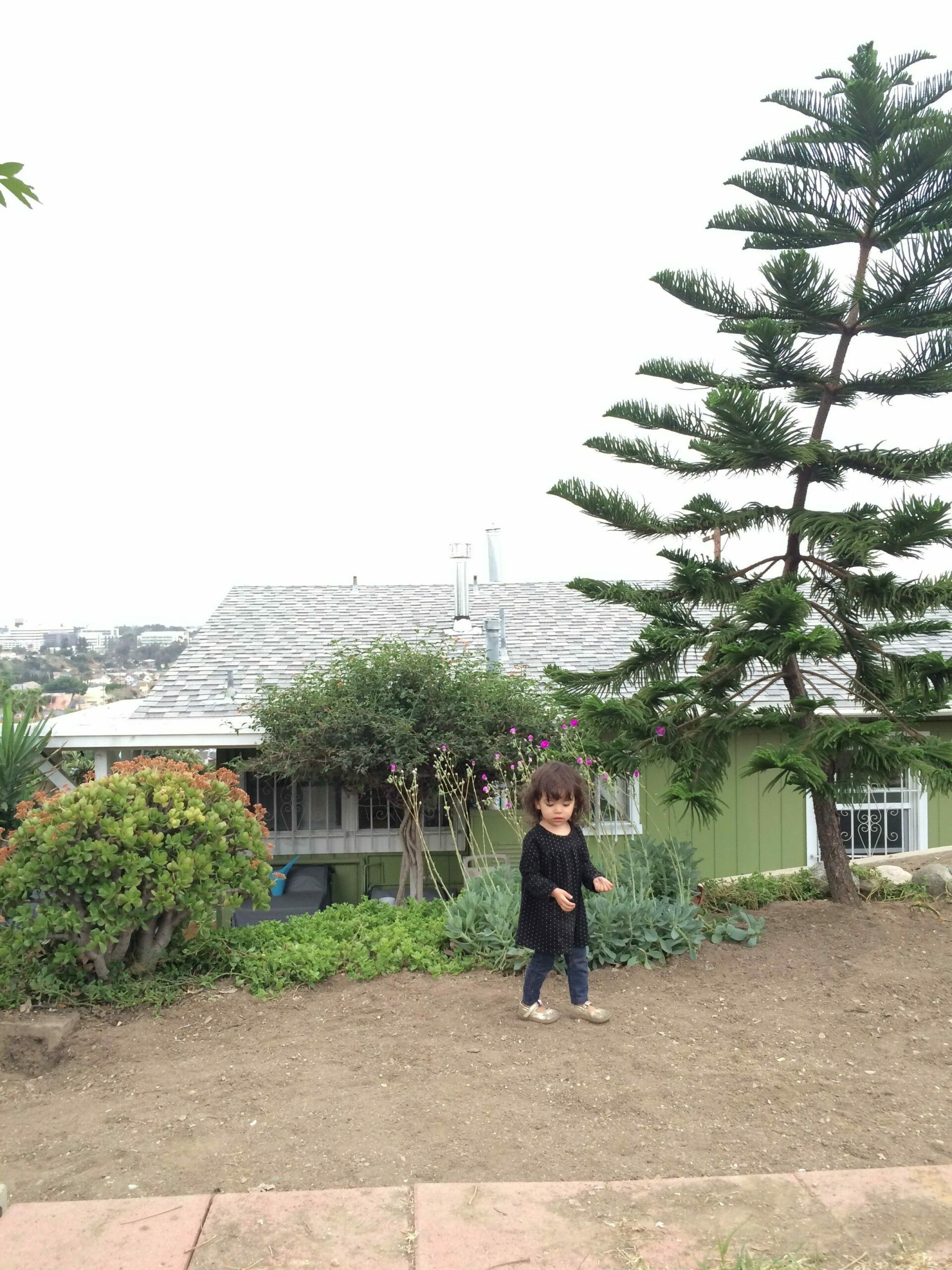 back-in-la_16863337472_o