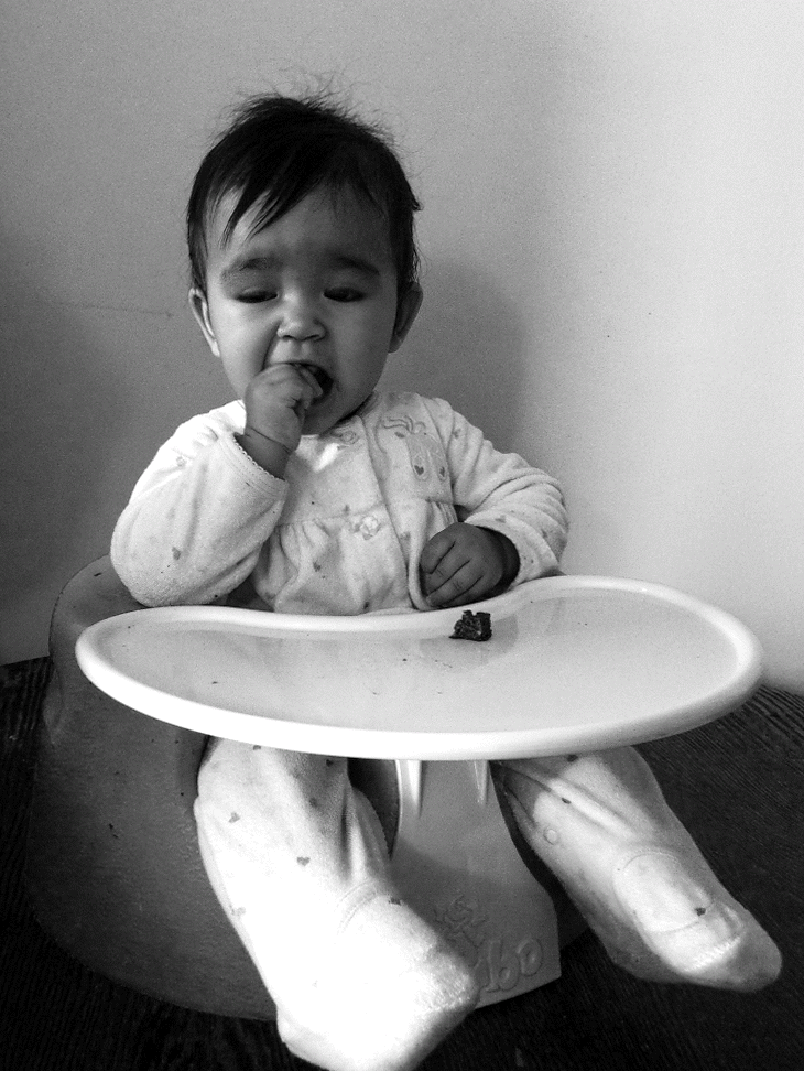 momo_11301685174_o-ANIMATION