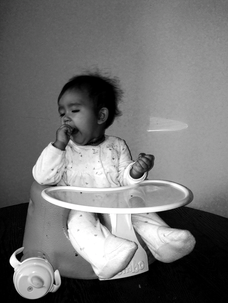 momo_11301810013_o-ANIMATION